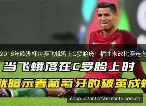 2016年欧洲杯决赛飞蛾落上C罗脸庞:插曲未改比赛走向 2016年欧洲杯决赛飞蛾落上C罗脸庞:插曲未改比赛走向
